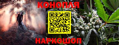 ПСИЛОЦИБИНОВЫЕ ГРИБЫ Ирбит