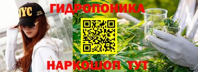 ПСИЛОЦИБИНОВЫЕ ГРИБЫ Ирбит